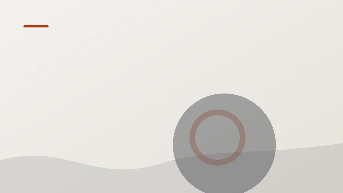 Foam roller test 2026 – bedste massageruller til restitution | Træningsudstyr.com